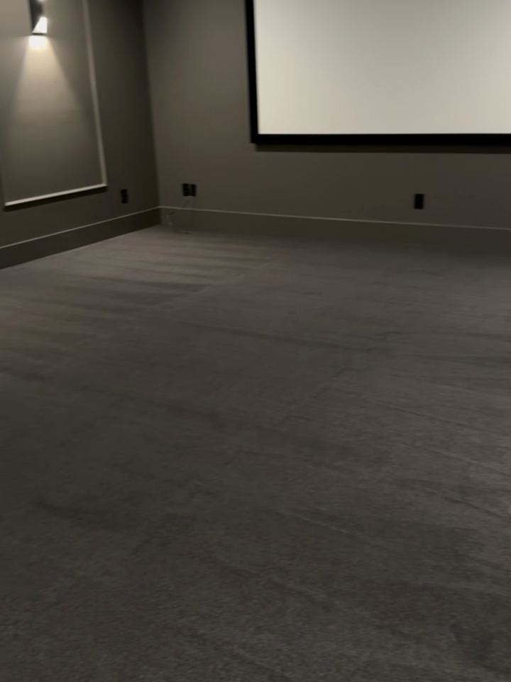 After: charcoal Stainmaster PetProtect carpet facing the screen, Westfield theater
